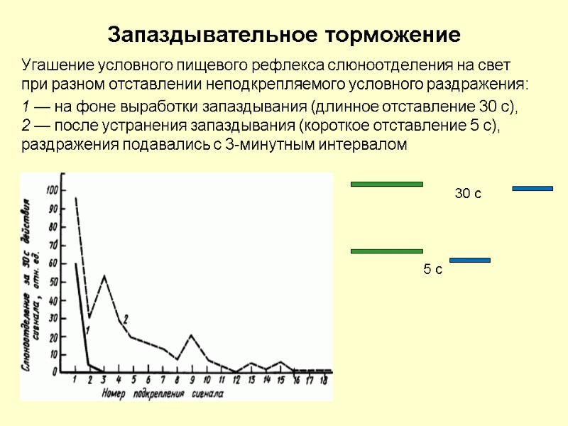 Запаздывательное торможение Угашение условного пищевого рефлекса слюноотделения на свет при разном отставлении неподкрепляемого условного